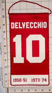 ALEX DELVECCHIO DETROIT RED WINGS RETIREMENT NHL HOCKEY OFFICIAL PENNANT BANNER