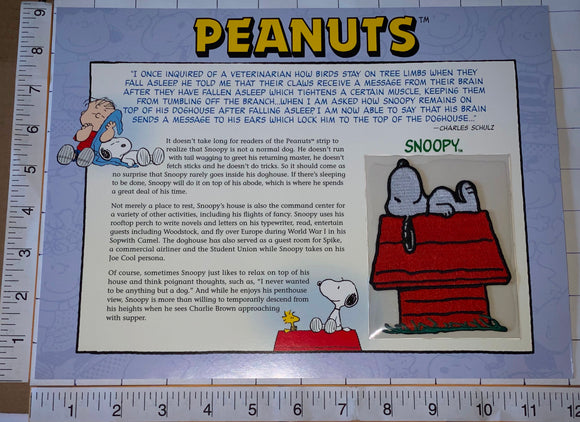 SNOOPY ON HIS DOGHOUSE CHARLIE BROWN LUCY PEANUTS WILLABEE & WARD PATCH